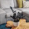 plants shop product gallery img 3